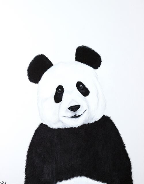 Painting of a friendly panda portrait in black and white on a white ground